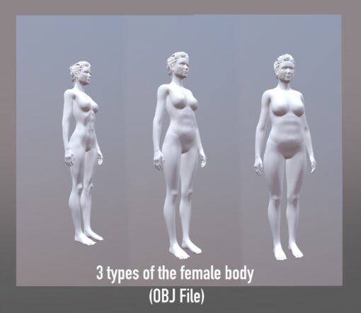 3d Woman Body For Procreate