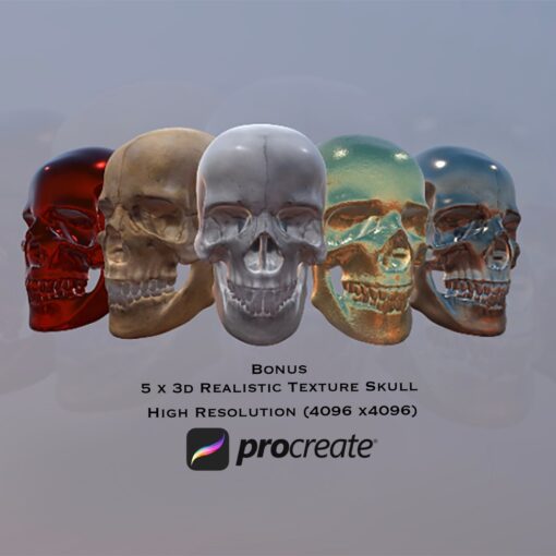 3d Skull for Procreate