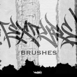 Texture Crack brushes